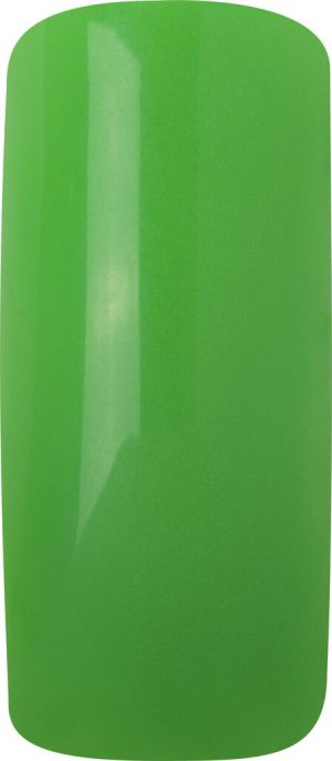 Magnetic Color acryl Neon Green 12 gram 107020