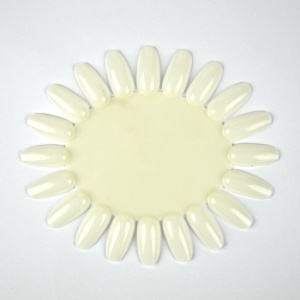 Color display naturel 1 stuk