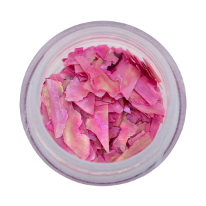 Magnetic inlay Shell Sheets Pink 118955