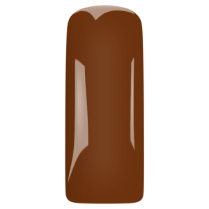 Magnetic Blush gel Caramel Macchiato 231420 15 ml