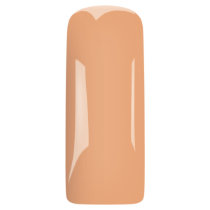 Magnetic Blush gel Chai Latte 231424 15 ml