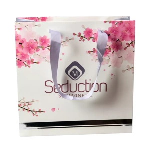 Magnetic Paper Bag For seduction small